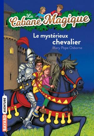 Cover of the book La cabane magique, Tome 02 by NATHALIE SAVEY