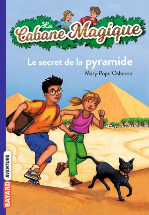 Cover of the book La cabane magique, Tome 03 by Marie Aubinais, Hélène Serre de Talhouet