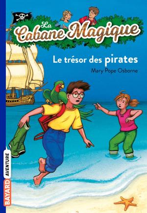 bigCover of the book La cabane magique, Tome 04 by 