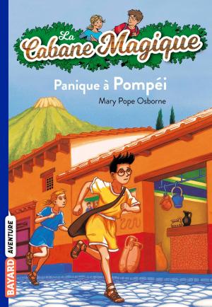 Cover of La cabane magique, Tome 08