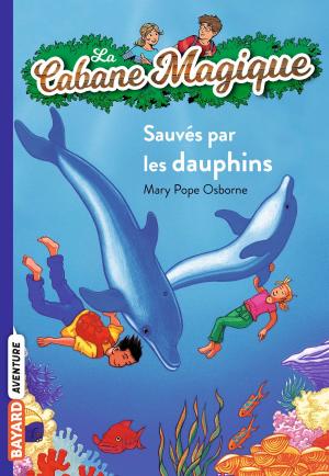 Cover of the book La cabane magique, Tome 12 by Marie Aubinais, Charlotte LE BRETON