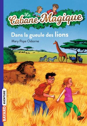 bigCover of the book La cabane magique, Tome 14 by 