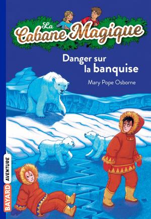 Cover of La cabane magique, Tome 15