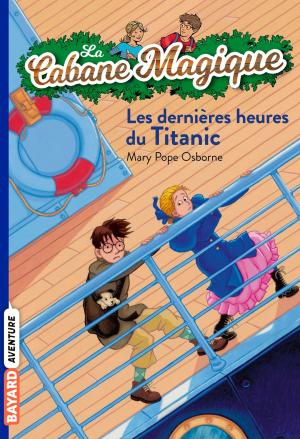 Cover of La cabane magique, Tome 16