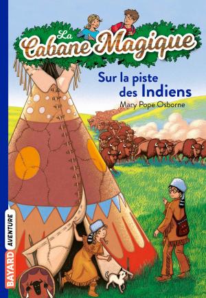 Cover of La cabane magique, Tome 17