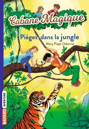 Cover of La cabane magique, Tome 18