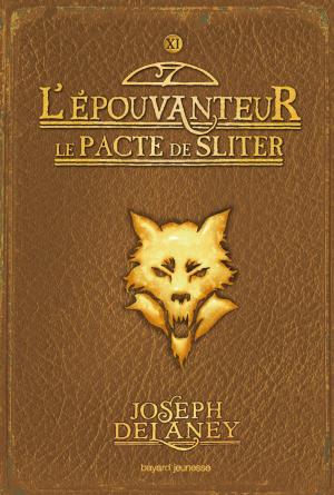 Cover of L'épouvanteur, Tome 11