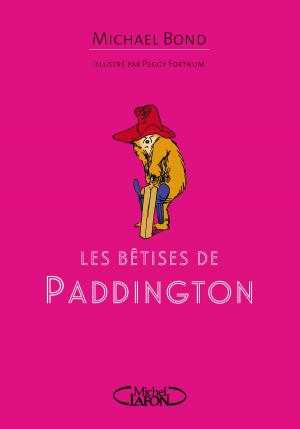 Cover of Les bêtises de Paddington