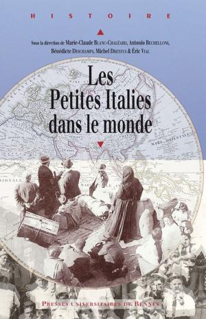 Cover of the book Les Petites Italies dans le monde by Jean-Clément Martin