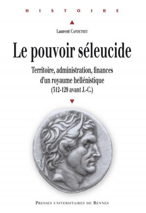 Cover of Le pouvoir séleucide