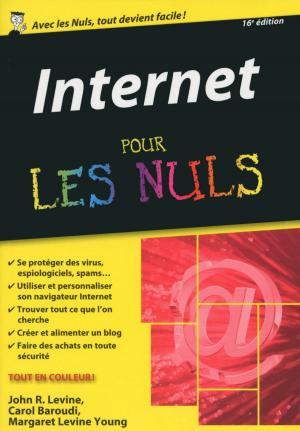 Book cover of Internet poche pour les Nuls, 16e édition