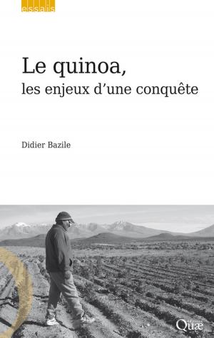 Cover of the book Le quinoa, les enjeux d'une conquête by Jean-François Théry, Emmanuel Hirsch, Jean-Michel Besnier