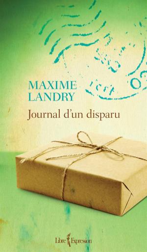 Cover of the book Journal d'un disparu by Louise Lacoursière