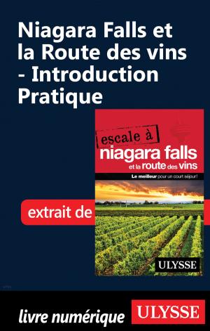 Cover of the book Niagara Falls et la Route des vins - Introduction Pratique by Marc Rigole