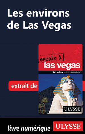 Cover of the book Les environs de Las Vegas by Gabriel Anctil