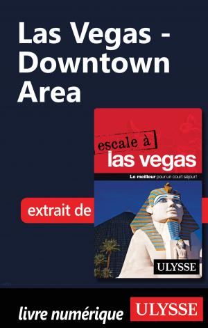 Cover of the book Las Vegas - Downtown Area by Collectif Ulysse, Collectif