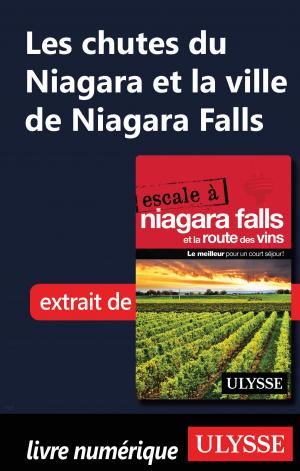 Cover of the book Les chutes du Niagara et la ville de Niagara Falls by Martin Beaulieu