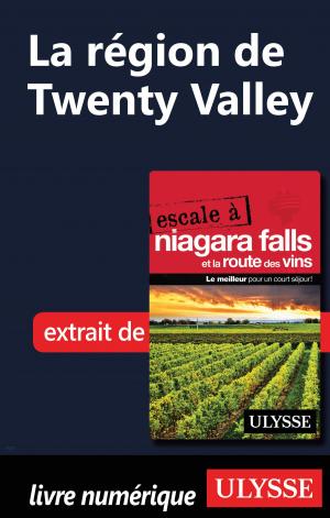 Cover of the book La région de Twenty Valley by Denise Landry, Rémi St-Gelais