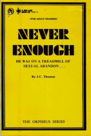Cover of the book Never Enough by Desmond, Robert