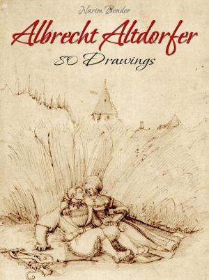 Cover of the book Albrecht Altdorfer: 80 Drawings by Murray Stiller