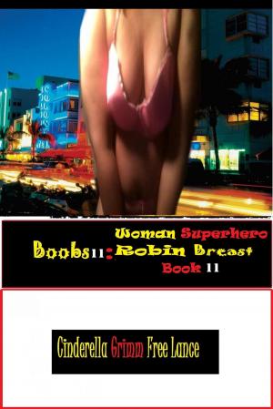Book cover of Boobs 11