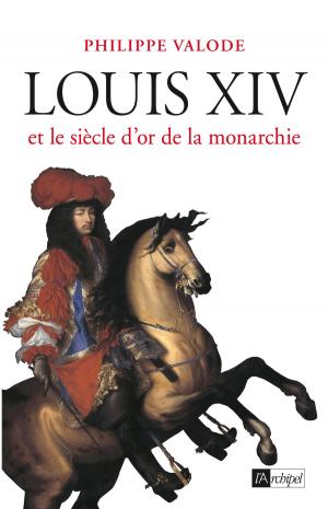 Cover of the book Louis XIV et le siècle d'or de la monarchie by Charlotte Blum