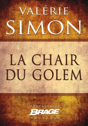 Cover of the book La Chair du Golem by Mélanie Fazi