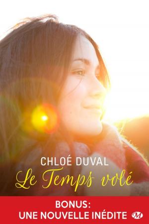 bigCover of the book Le Temps volé by 
