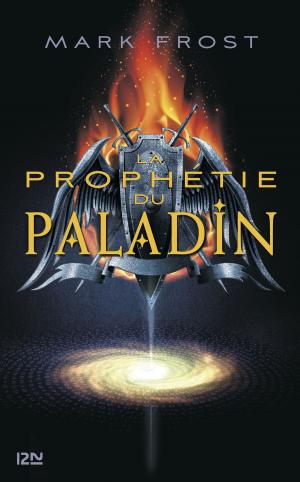 Book cover of La prophétie du Paladin - tome 1