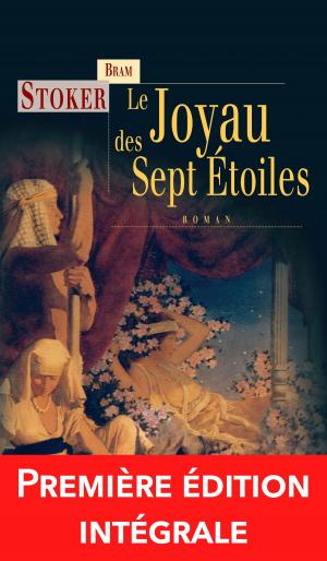 Cover of the book Le Joyau des sept étoiles by Eve Silver