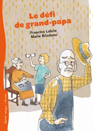 Cover of the book Le défi de grand-papa by Émilie Rivard