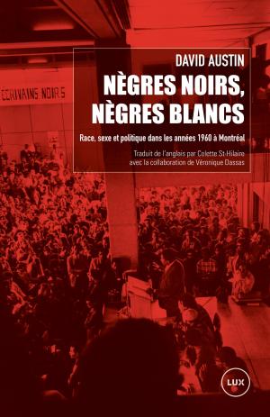 Cover of the book Nègres noirs, Nègres blancs by Jean-François Nadeau