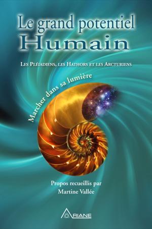 Cover of the book Le grand potentiel humain by Pierre Lessard, Josée Clouâtre, Julie Gagner, Monique Riendeau