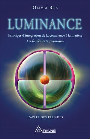 bigCover of the book Luminance by 