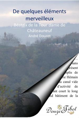 Cover of the book De quelques éléments merveilleux...Béatrix de Châteauneuf by गिलाड लेखक
