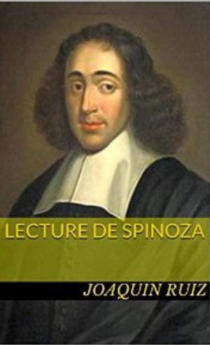Cover of Lecture de Spinoza