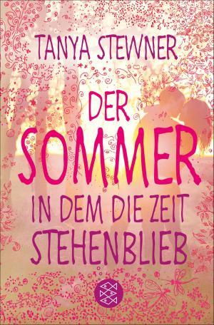 Cover of the book Der Sommer, in dem die Zeit stehenblieb by Lisa Randall