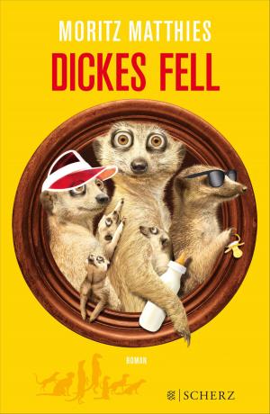 Book cover of Dickes Fell