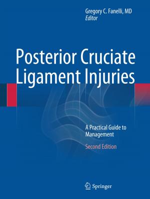 Cover of the book Posterior Cruciate Ligament Injuries by S.N. Glazer