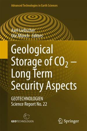 bigCover of the book Geological Storage of CO2 – Long Term Security Aspects by 