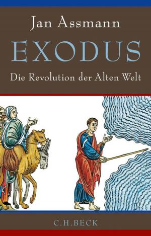 Cover of the book Exodus by Hans Giffhorn