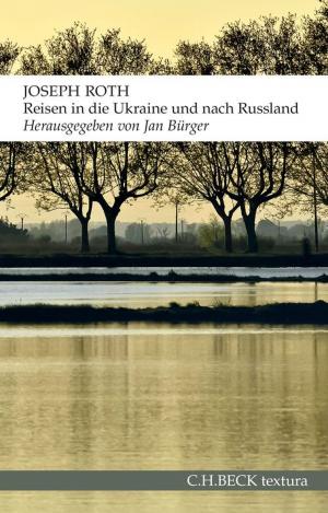 Cover of the book Reisen in die Ukraine und nach Russland by Johannes Bähr, Paul Erker