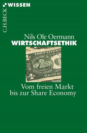 Cover of the book Wirtschaftsethik by Martin Strohmeier, Lale Yalçin-Heckmann
