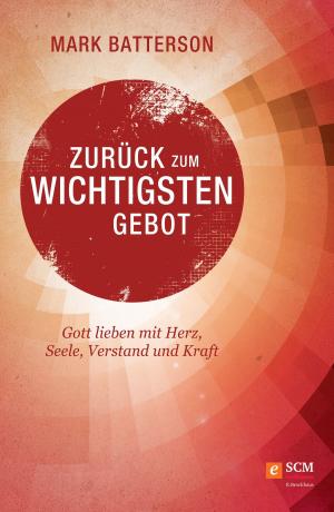 Cover of the book Zurück zum wichtigsten Gebot by Birgit Schilling