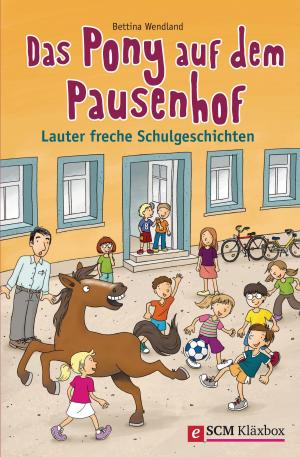 Book cover of Das Pony auf dem Pausenhof