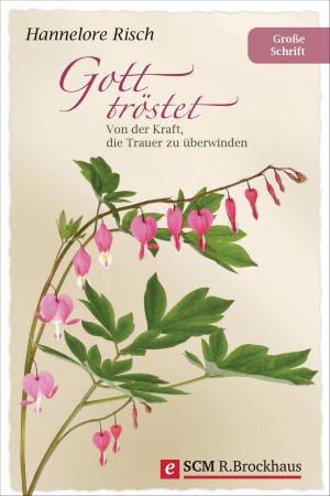 Cover of the book Gott tröstet by Christoph Schrodt