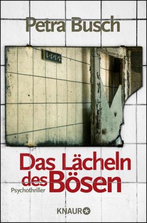Cover of the book Das Lächeln des Bösen by Anna Stein