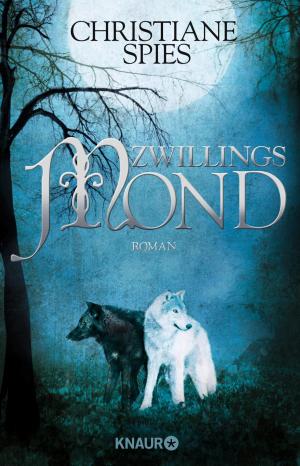 Cover of the book Zwillingsmond by Joanne Fedler