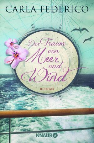Cover of the book Der Traum von Meer und Wind by 