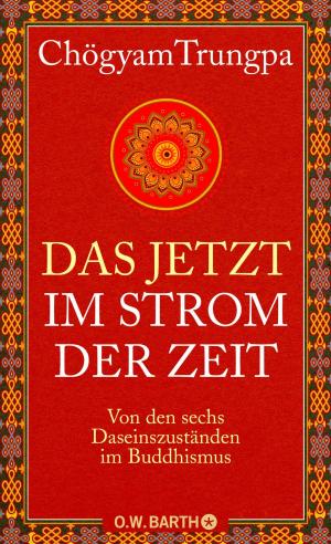Cover of the book Das Jetzt im Strom der Zeit by Rupert Sheldrake